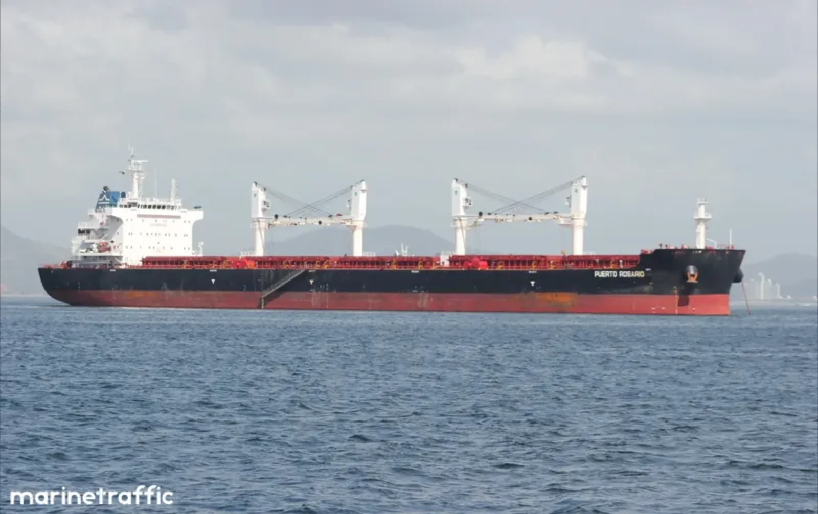 PUERTO ROSARIO Bulk Carrier IMO 9656084 photo 2