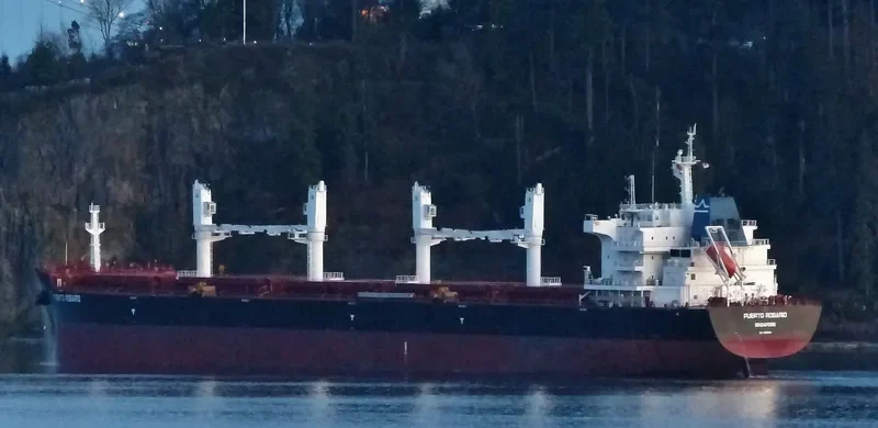 PUERTO ROSARIO Bulk Carrier IMO 9656084 photo 3