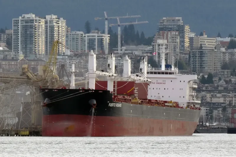 PUERTO ROSARIO Bulk Carrier IMO 9656084 photo 4