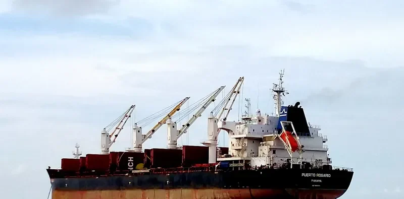 PUERTO ROSARIO Bulk Carrier IMO 9656084 photo 5