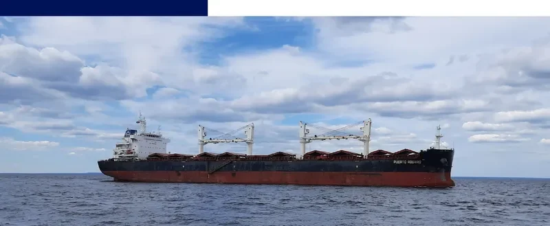 PUERTO ROSARIO Bulk Carrier IMO 9656084 photo 6