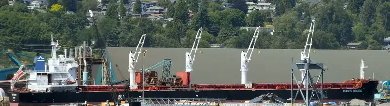 PUERTO ROSARIO Bulk Carrier IMO 9656084 photo 17