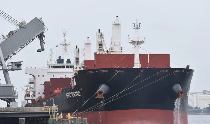 PUERTO ROSARIO Bulk Carrier IMO 9656084 photo 36