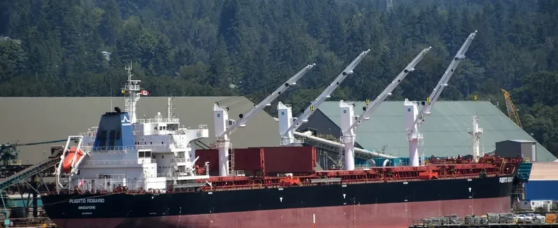PUERTO ROSARIO Bulk Carrier IMO 9656084 photo 40