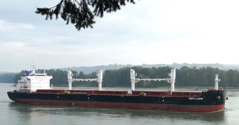 PORTO LEONE Bulk Carrier IMO 9656096 photo 2