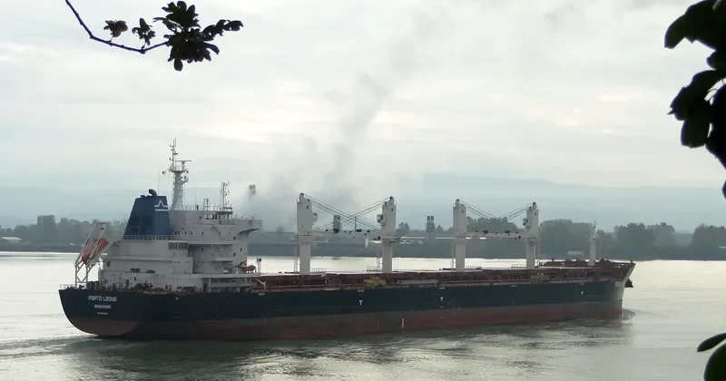 PORTO LEONE Bulk Carrier IMO 9656096 photo 3