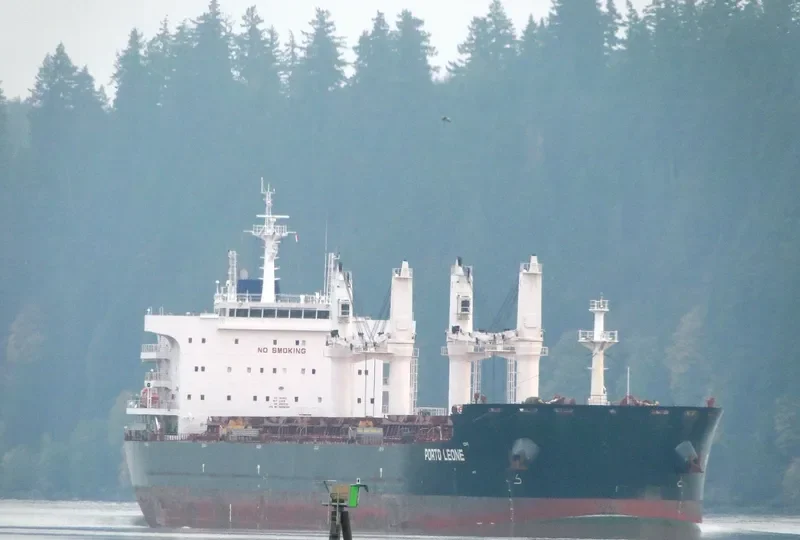 PORTO LEONE Bulk Carrier IMO 9656096 photo 5