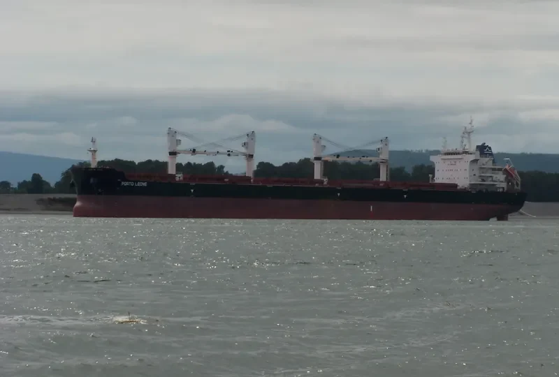PORTO LEONE Bulk Carrier IMO 9656096 photo 7