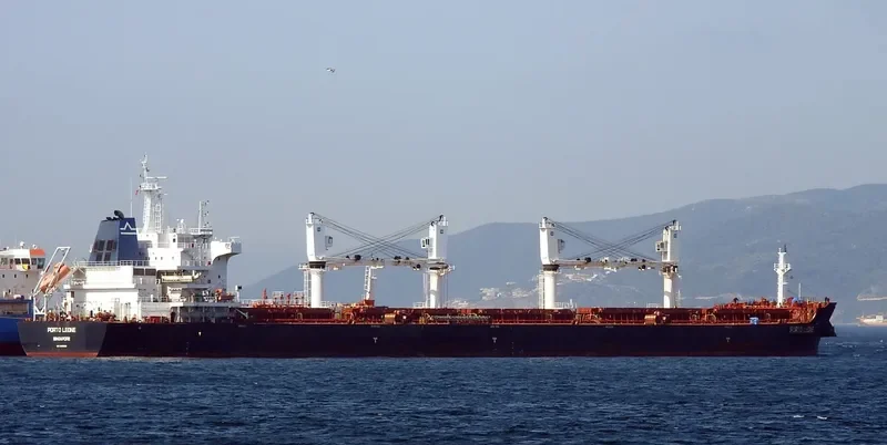 PORTO LEONE Bulk Carrier IMO 9656096 photo 9