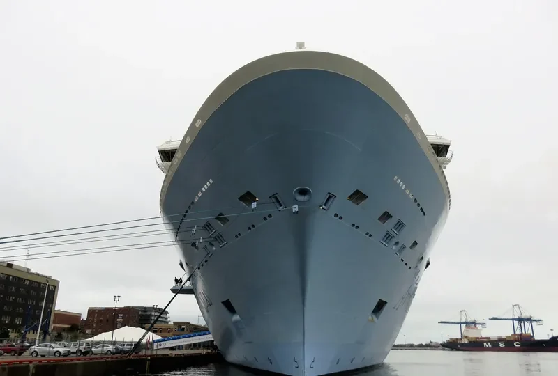 ANTHEM OF THE SEAS Passenger Ship IMO 9656101 photo 9