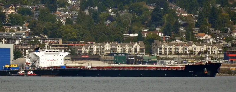 ATENI Bulk Carrier IMO 9656175 photo 2