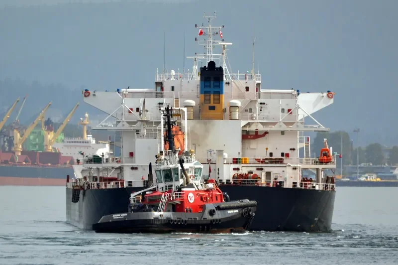 ATENI Bulk Carrier IMO 9656175 photo 3