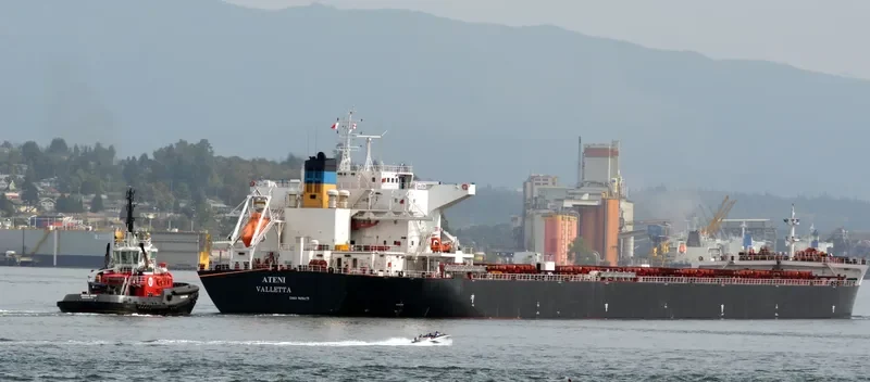 ATENI Bulk Carrier IMO 9656175 photo 4