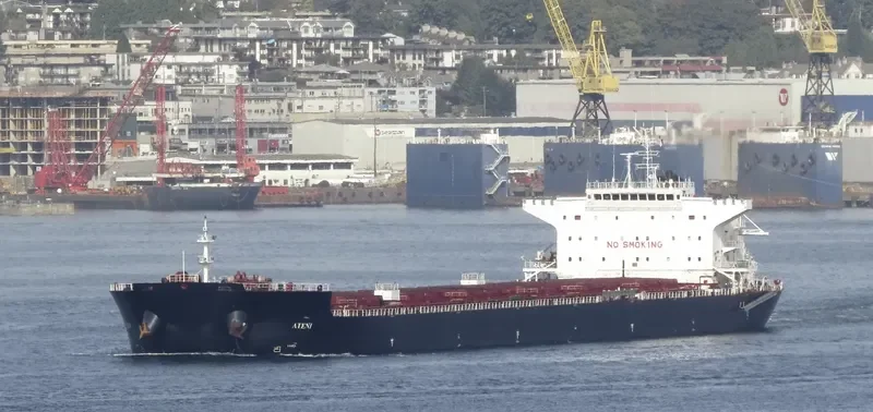 ATENI Bulk Carrier IMO 9656175 photo 5