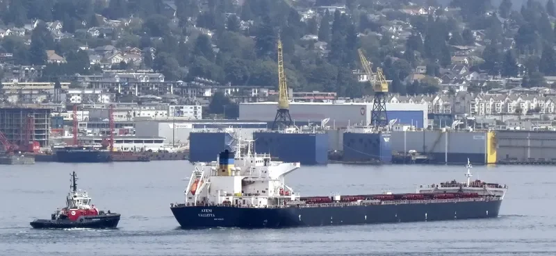 ATENI Bulk Carrier IMO 9656175 photo 6