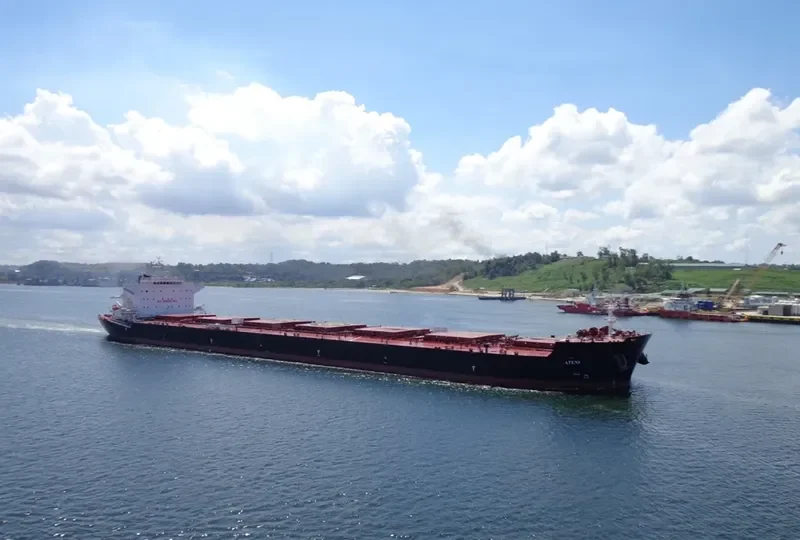 ATENI Bulk Carrier IMO 9656175 photo 8
