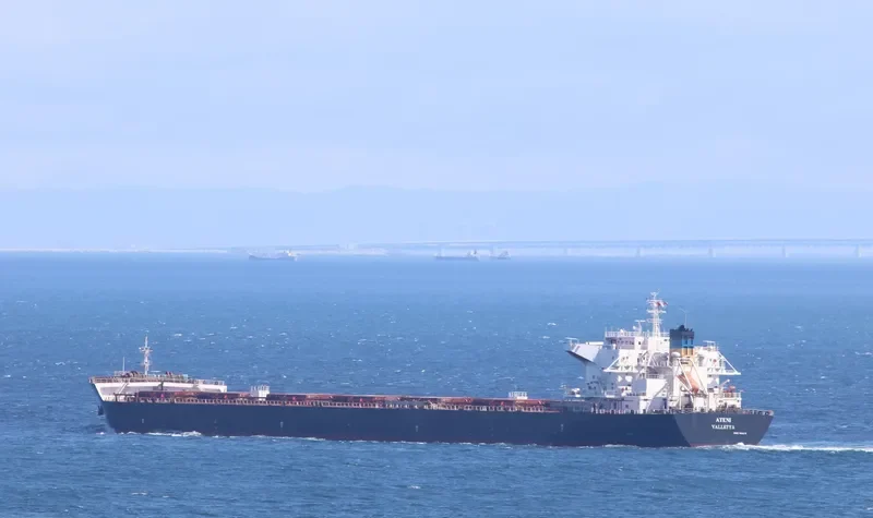 ATENI Bulk Carrier IMO 9656175 photo 9