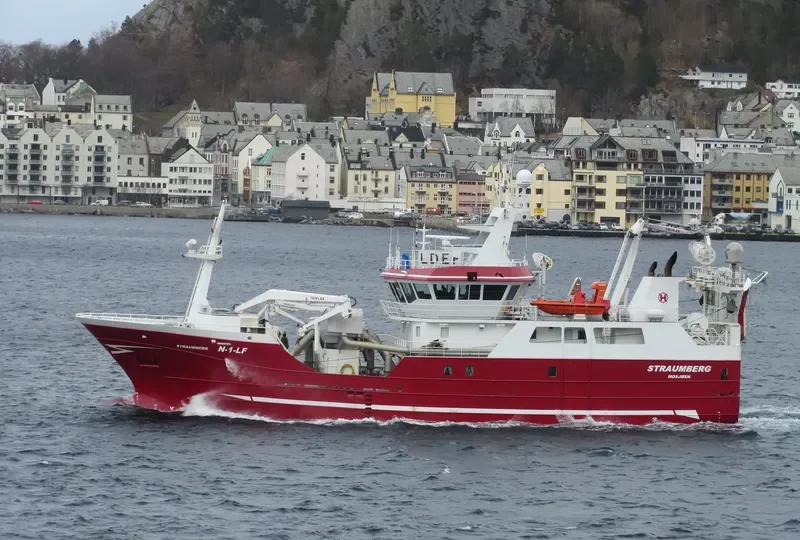 STRAUMBERG General Cargo IMO 9656395 photo 3