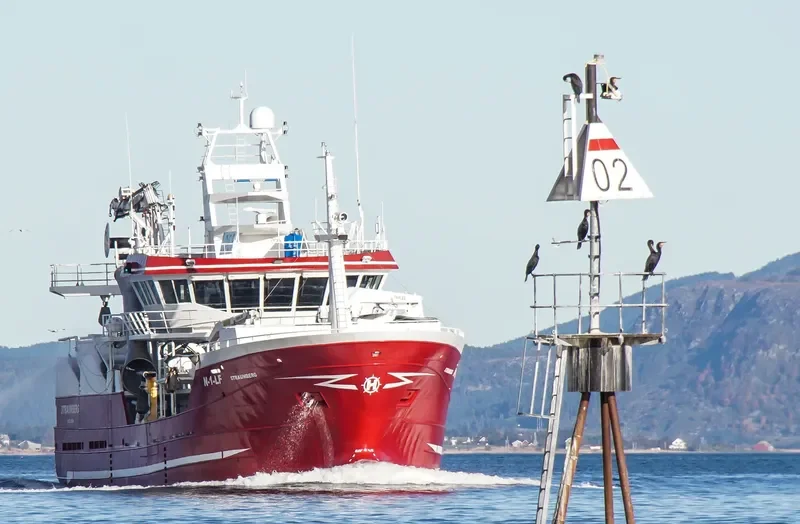STRAUMBERG General Cargo IMO 9656395 photo 7