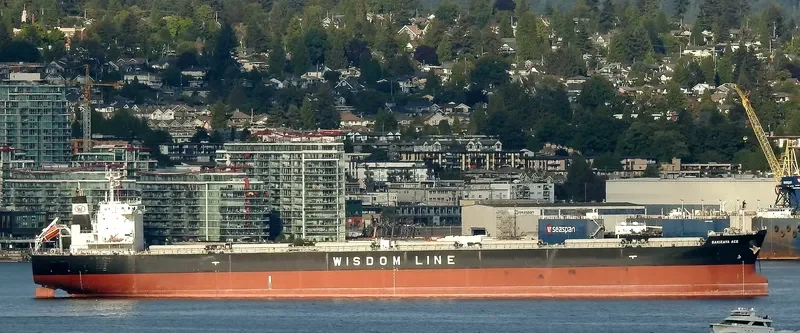 SAKIZAYA ACE Bulk Carrier IMO 9656400