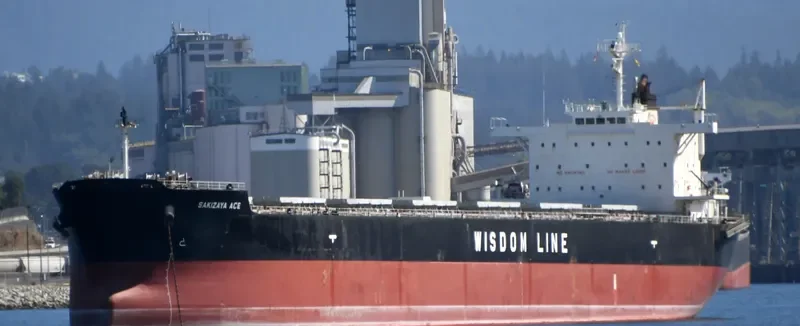 SAKIZAYA ACE Bulk Carrier IMO 9656400 photo 2