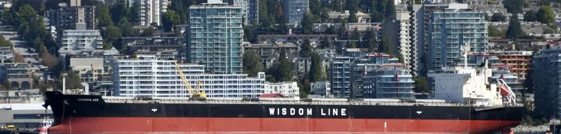 SAKIZAYA ACE Bulk Carrier IMO 9656400 photo 3