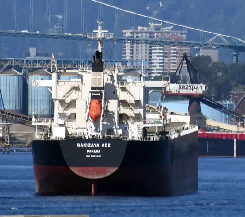 SAKIZAYA ACE Bulk Carrier IMO 9656400 photo 4