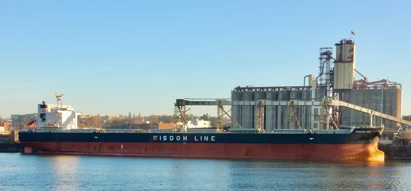 SAKIZAYA ACE Bulk Carrier IMO 9656400 photo 7