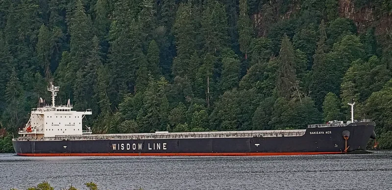 SAKIZAYA ACE Bulk Carrier IMO 9656400 photo 9