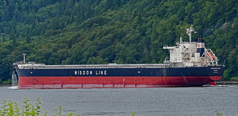 SAKIZAYA ACE Bulk Carrier IMO 9656400 photo 10