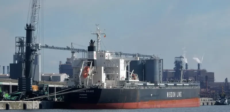 SAKIZAYA BRAVE Bulk Carrier IMO 9656412