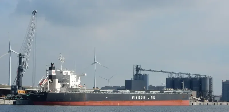 SAKIZAYA BRAVE Bulk Carrier IMO 9656412 photo 2