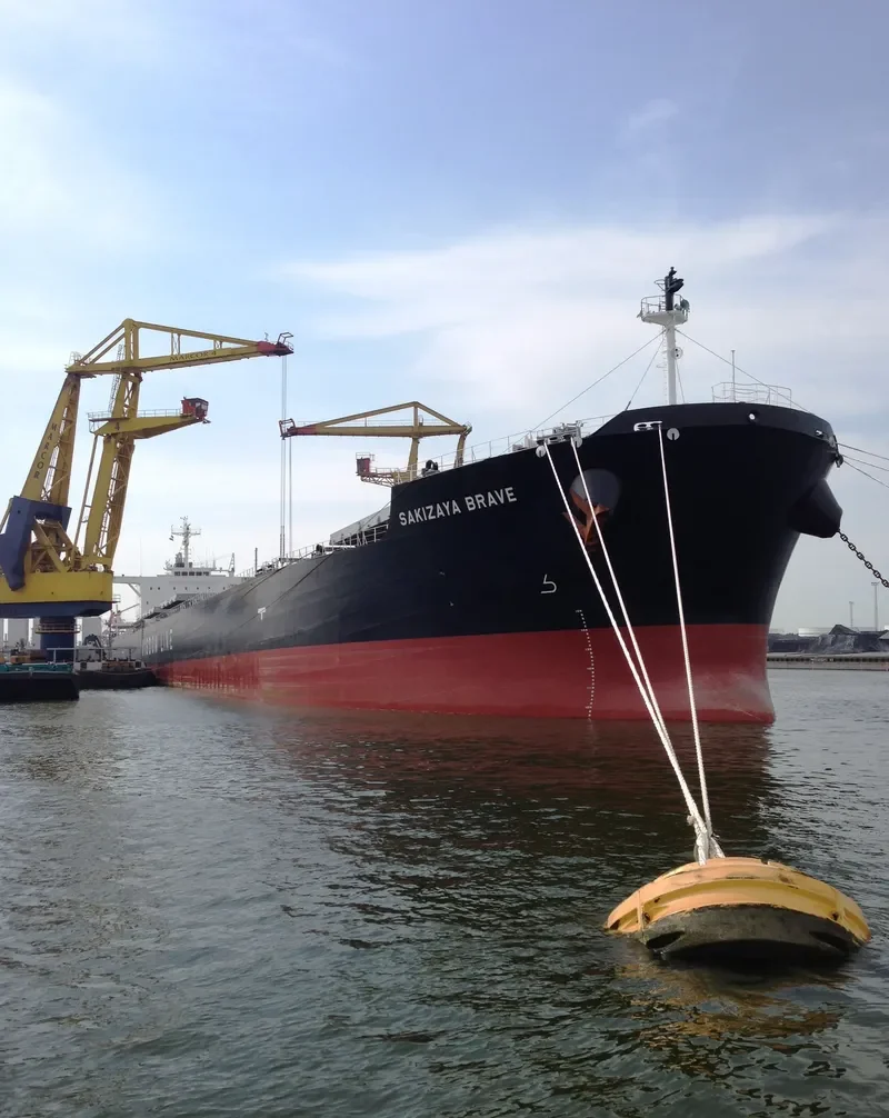SAKIZAYA BRAVE Bulk Carrier IMO 9656412 photo 8