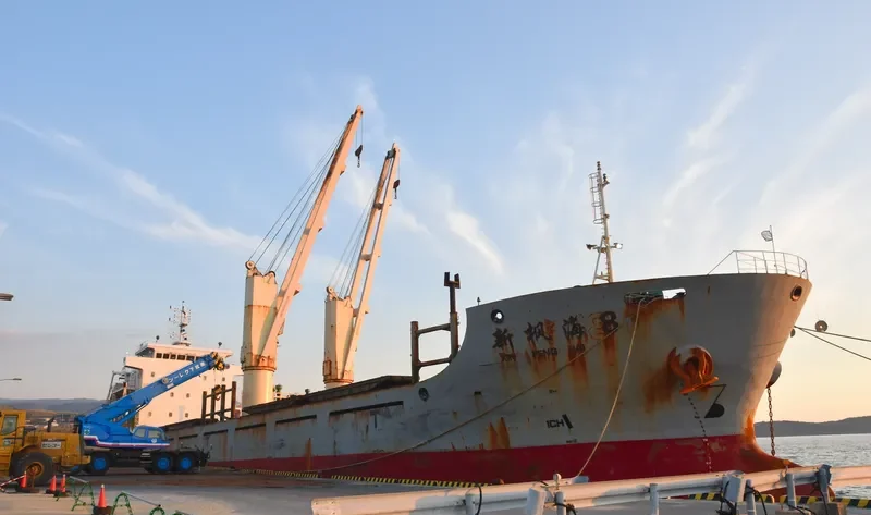 XIN FENG HAI 8 Bulk Carrier IMO 9656711