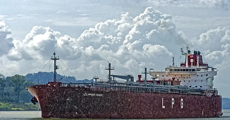 CLIPPER POSH General Cargo IMO 9656747 photo 5