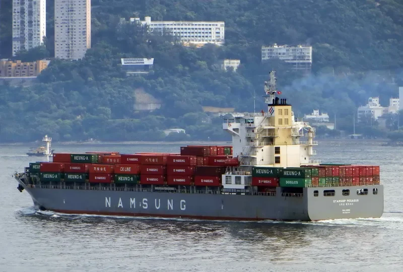 STARSHIP PEGASUS Container Ship IMO 9656759