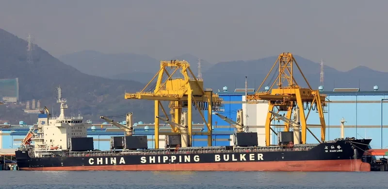 QI XIAN LING Bulk Carrier IMO 9656864