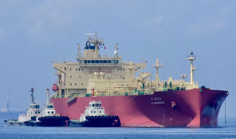 G.PARAGON General Cargo IMO 9656888 photo 5