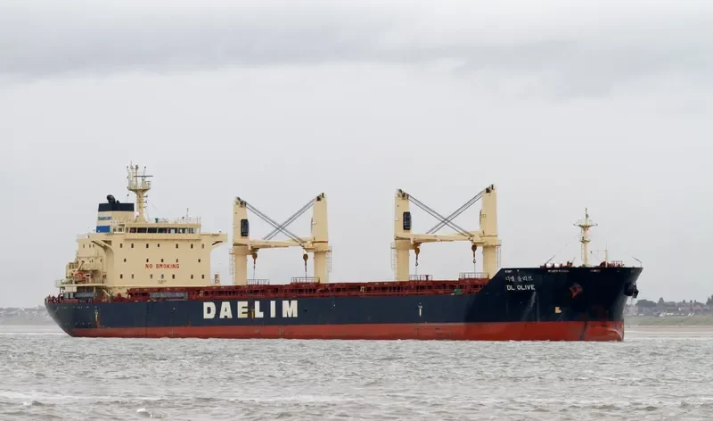 DL OLIVE Bulk Carrier IMO 9657014