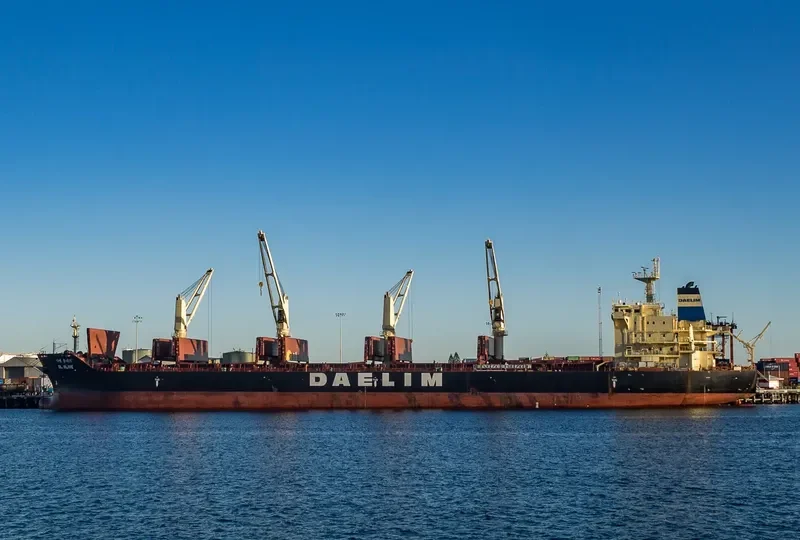 DL OLIVE Bulk Carrier IMO 9657014 photo 2