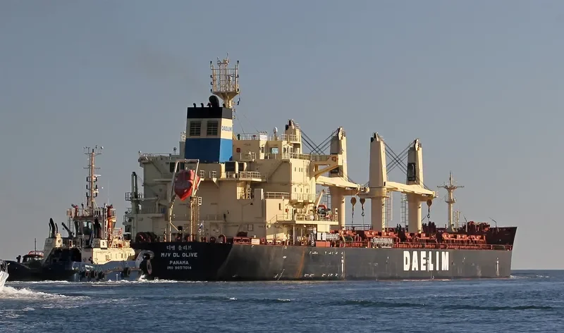 DL OLIVE Bulk Carrier IMO 9657014 photo 3