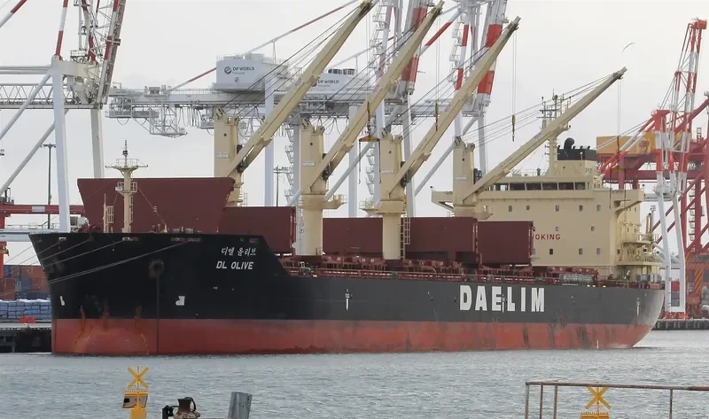 DL OLIVE Bulk Carrier IMO 9657014 photo 4