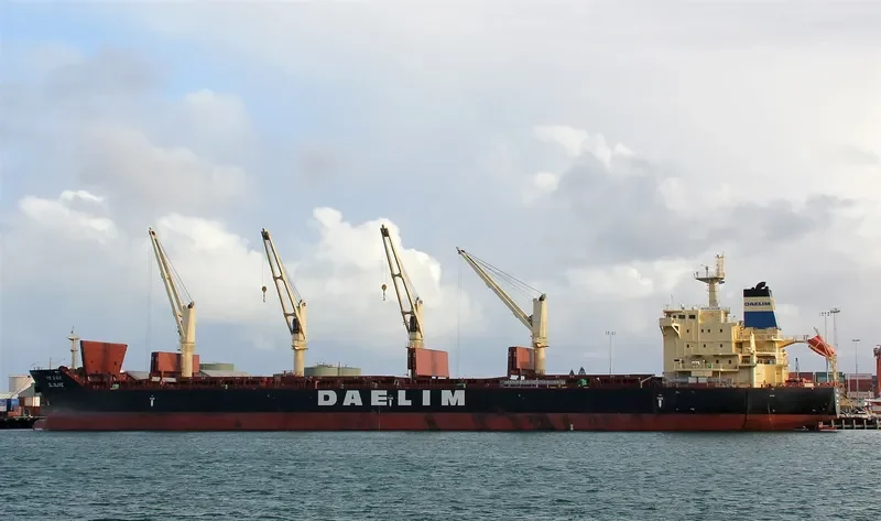 DL OLIVE Bulk Carrier IMO 9657014 photo 5