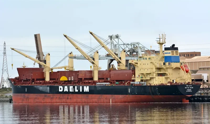 DL OLIVE Bulk Carrier IMO 9657014 photo 6