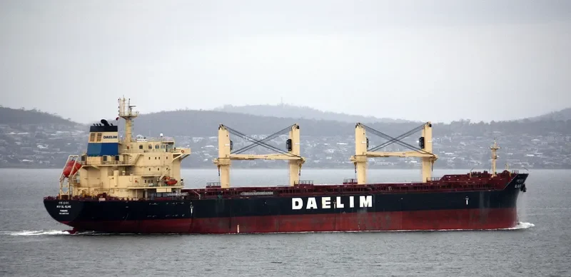 DL OLIVE Bulk Carrier IMO 9657014 photo 7