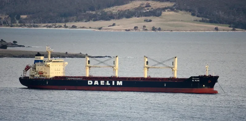 DL OLIVE Bulk Carrier IMO 9657014 photo 8