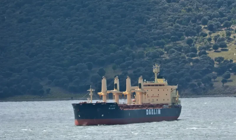 DL OLIVE Bulk Carrier IMO 9657014 photo 9