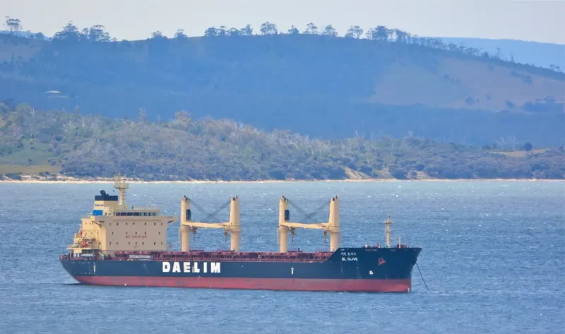 DL OLIVE Bulk Carrier IMO 9657014 photo 10