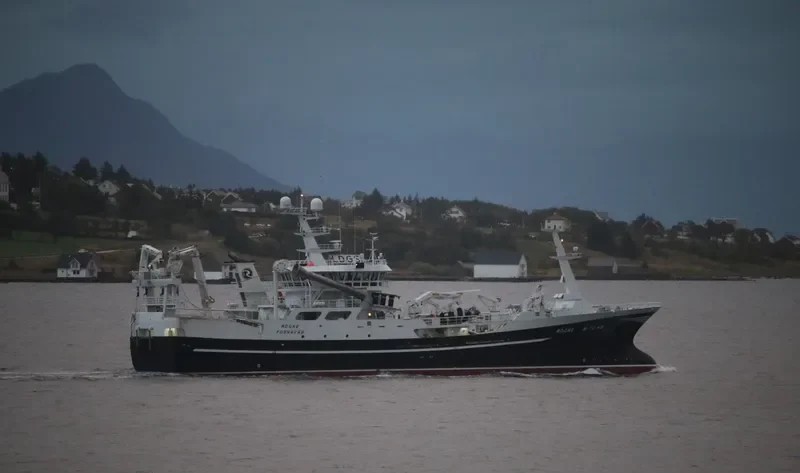 ROGNE General Cargo IMO 9657208 photo 5