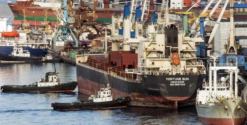 GOLDEN MAGPIE Bulk Carrier IMO 9657404 photo 3